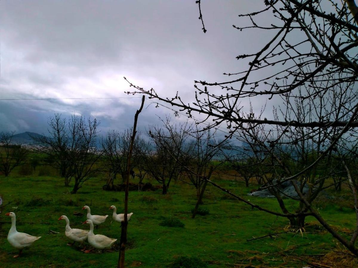 Ferme D'Hote La Vallee Azrou Dış mekan fotoğraf