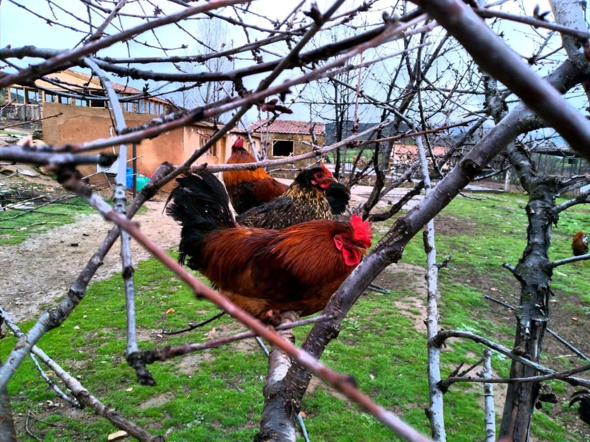 Ferme D'Hote La Vallee Azrou Dış mekan fotoğraf