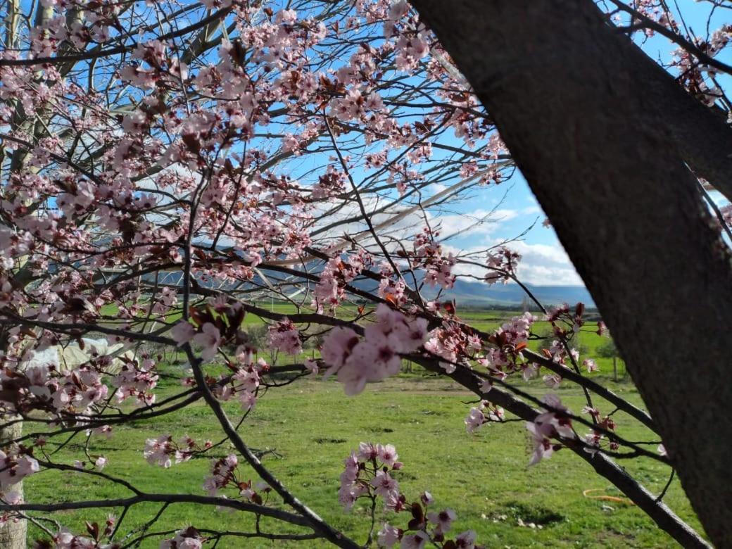 Ferme D'Hote La Vallee Azrou Dış mekan fotoğraf