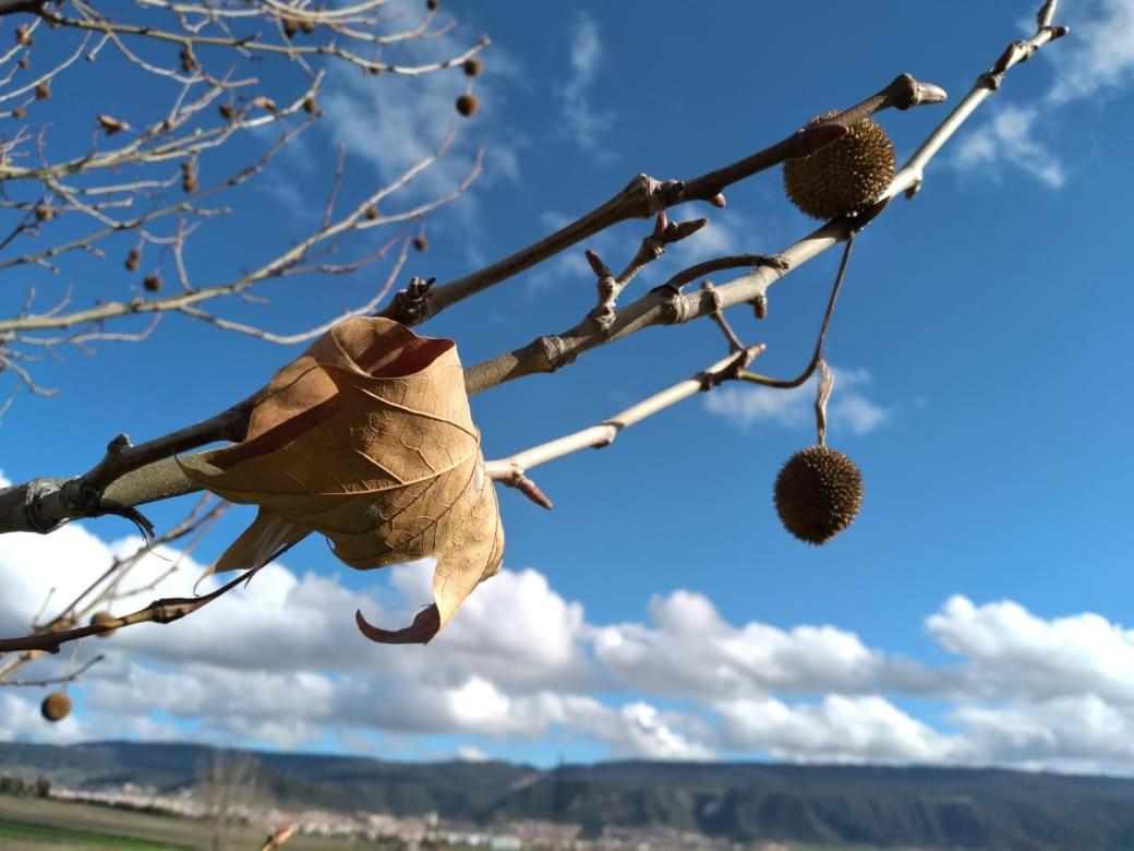 Ferme D'Hote La Vallee Azrou Dış mekan fotoğraf