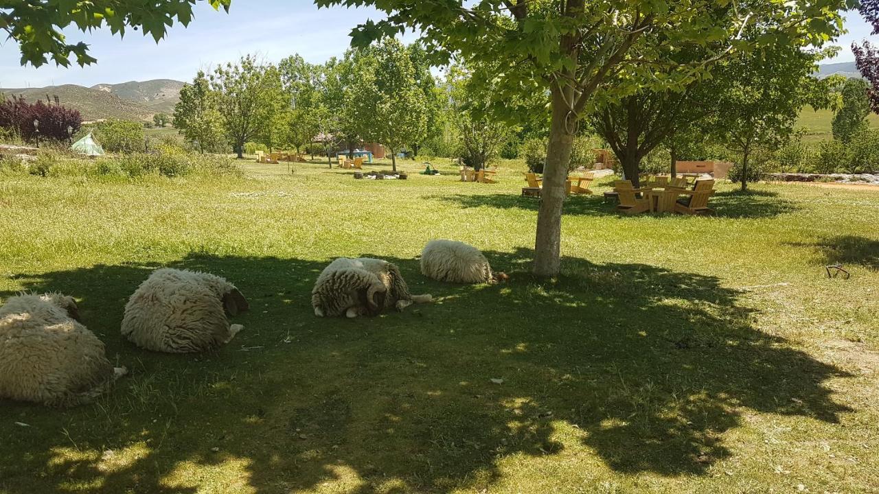 Ferme D'Hote La Vallee Azrou Dış mekan fotoğraf